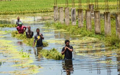 আর দুই দিন বৃষ্টি হইলে সব তলাইয়া যাইবো’