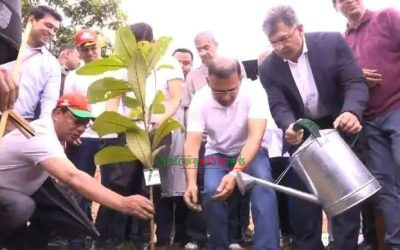 দেশব্যাপী ২৫ কোটি বৃক্ষরোপণ কর্মসূচির আনুষ্ঠানিক উদ্বোধন করেছেন প্রধানমন্ত্রী তারেক রহমান