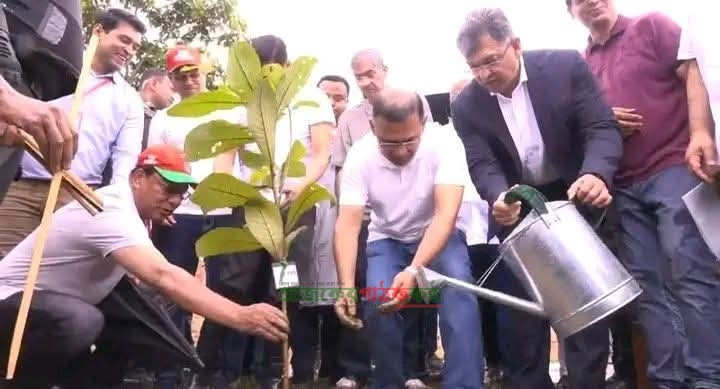 দেশব্যাপী ২৫ কোটি বৃক্ষরোপণ কর্মসূচির আনুষ্ঠানিক উদ্বোধন করেছেন প্রধানমন্ত্রী তারেক রহমান