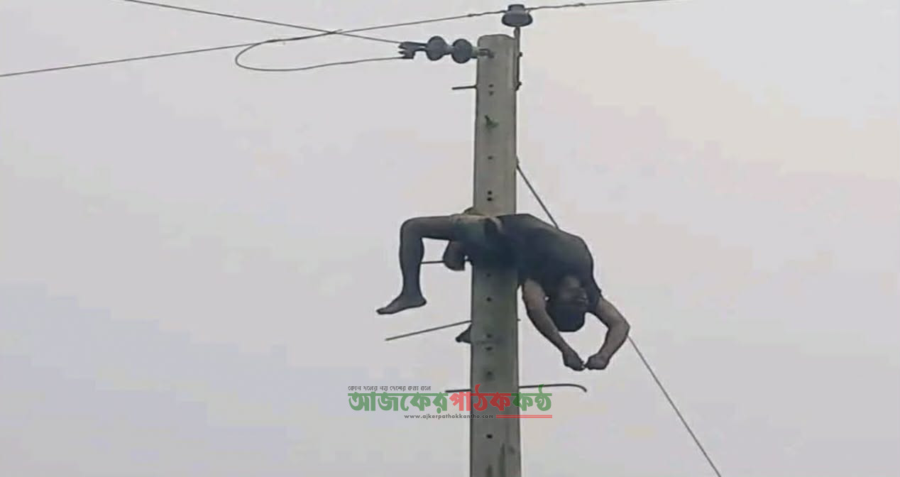 বাঘায় ট্রান্সফরমার চুরি করতে গিয়ে বিদ্যুৎস্পৃষ্টে যুবকের মৃত্যু, লাশ ঝুলছিল বৈদ্যুতিক খুঁটিতে
